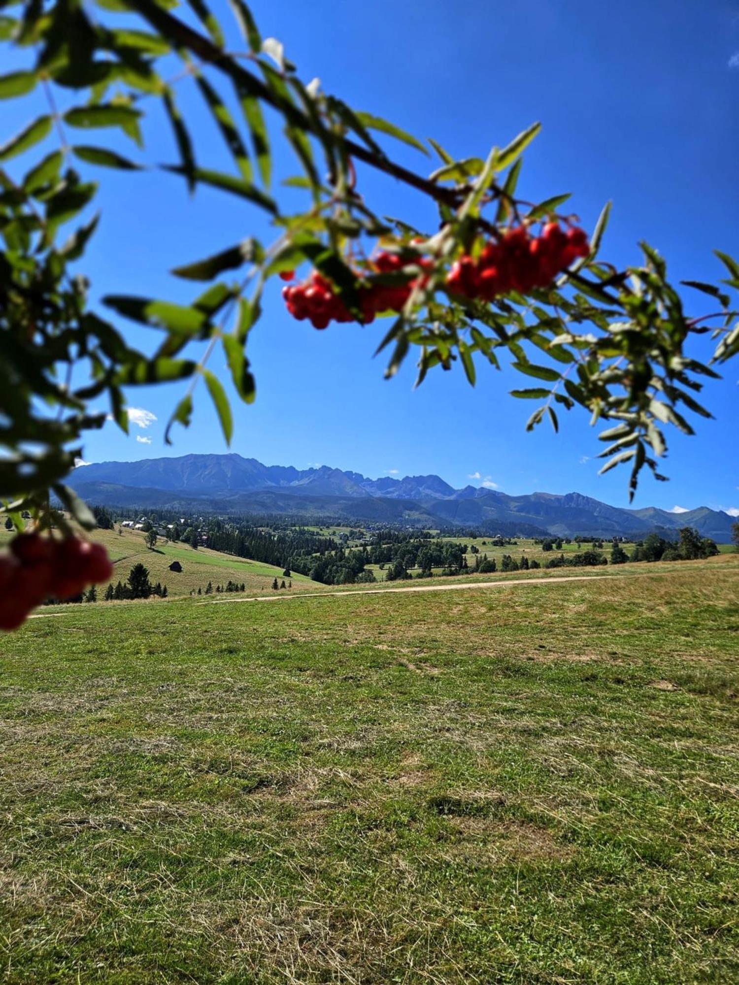 Goralska Chatka 3 Highland Cottage - Jacuzzi, Sauna, Split Ac, Private Parking, Mountains View Zakopane Ngoại thất bức ảnh