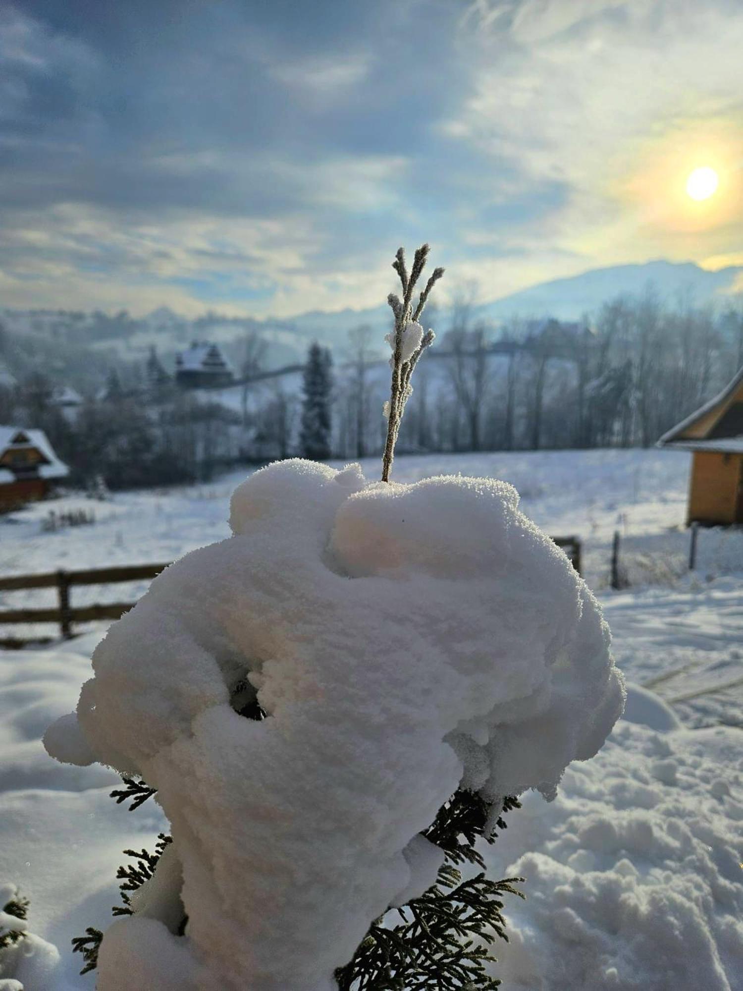Goralska Chatka 3 Highland Cottage - Jacuzzi, Sauna, Split Ac, Private Parking, Mountains View Zakopane Ngoại thất bức ảnh
