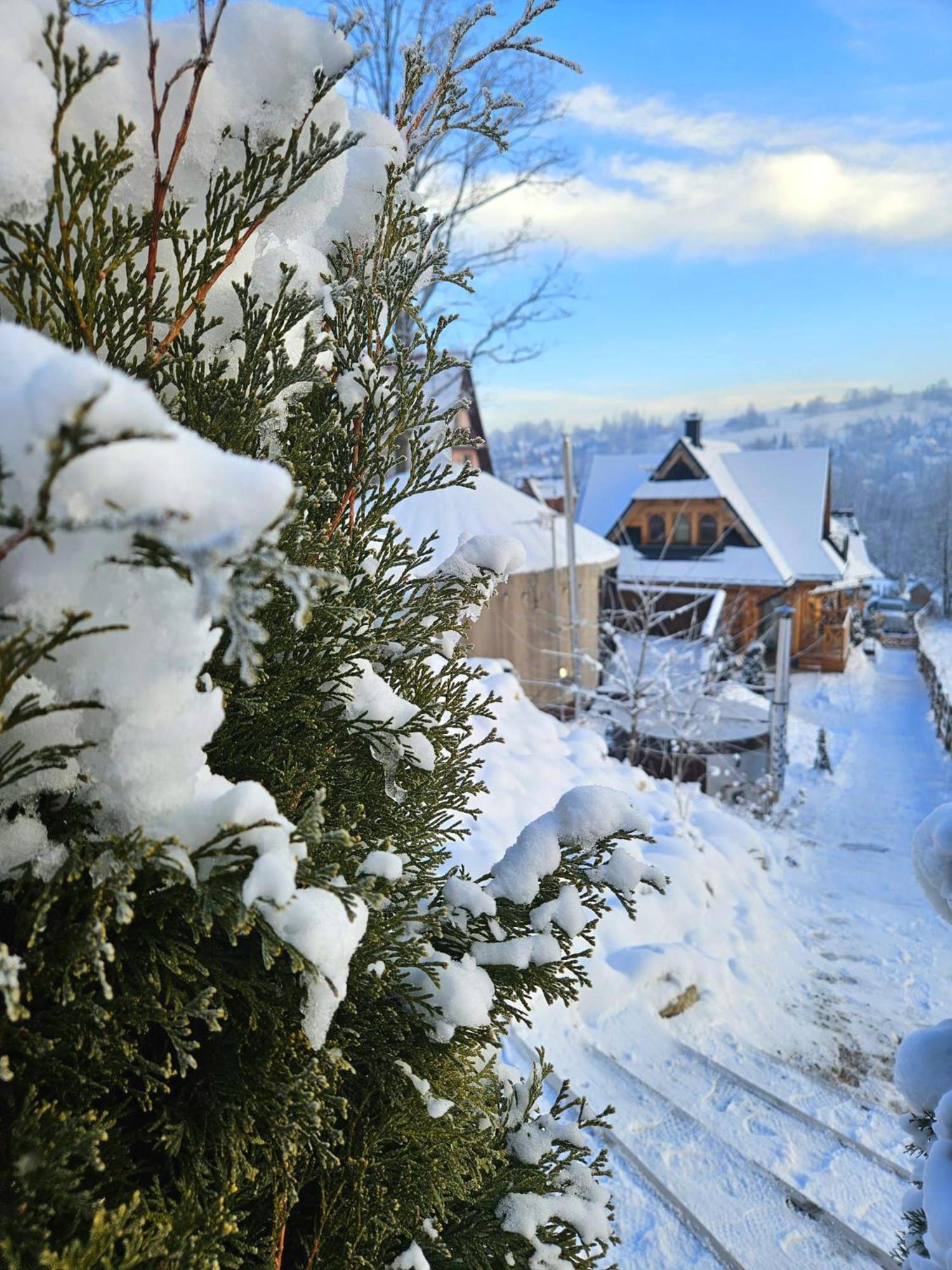 Goralska Chatka 3 Highland Cottage - Jacuzzi, Sauna, Split Ac, Private Parking, Mountains View Zakopane Ngoại thất bức ảnh